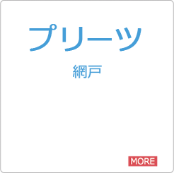 取付ができない窓：プリーツ網戸