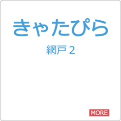 取付ができない玄関：きゃたぴら網戸